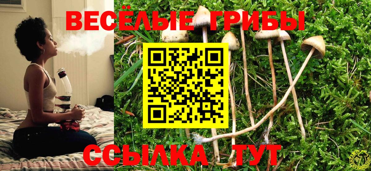 Галлюциногенные грибы MAGIC MUSHROOMS Удомля