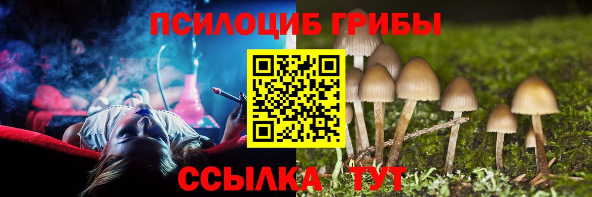 наркотики  Псилоцибиновые грибы GOLDEN TEACHER  Вход с VPN  Удомля 